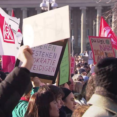 Demonstrierende Menschenmenge mit Demonstrationsschildern (Foto: SWR)