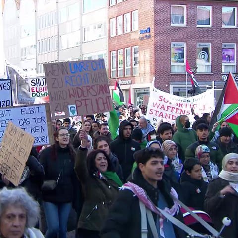 Viele Demonstranten mit Schildern gegen Israel (Foto: SWR)