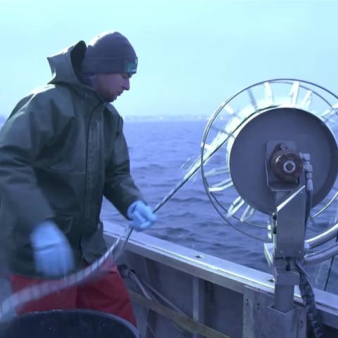 Fischer holt ein Netz auf einem Boot ein (Foto: SWR)