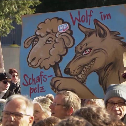 Schild mit Bezug auf die AfD mit der Aufschrift: Wolf im Schafspelz (Foto: SWR)