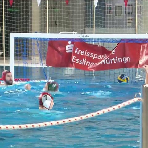 Wasserball-Neckarderby Cannstatt gegen Esslingen (Foto: SWR)