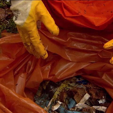 Helfer schmeißt gesammelten Müll aus dem Wald in eine Mülltüte