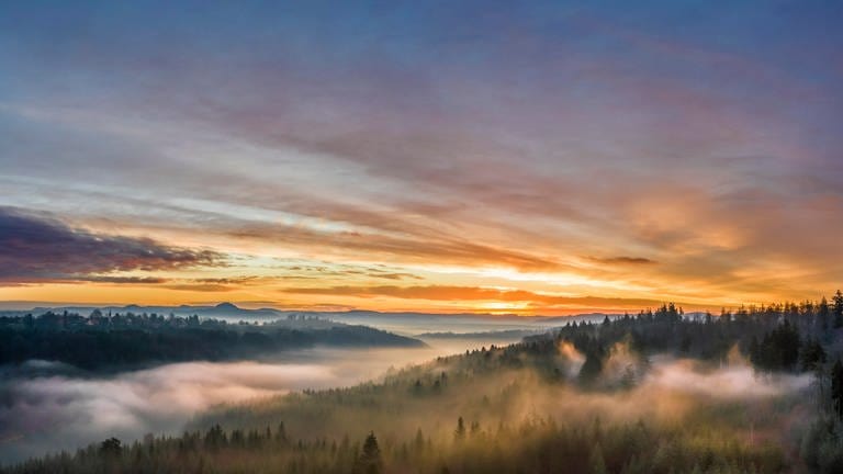 Die Sonne geht über dem Schwarzwald auf - Bild zum Newsletter von SWR Aktuell BW