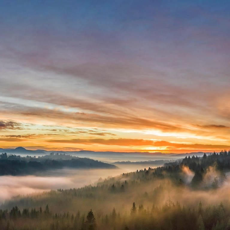 Die Sonne geht über dem Schwarzwald auf - Bild zum Newsletter von SWR Aktuell BW