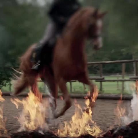 Pferd springt mit Reiter über eine Feuerwand
