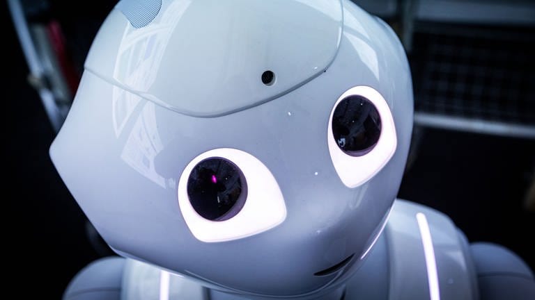 Der Pepper-Roboter der Firma Aldebaran Robotics wurde von Rostocker Wissenschaftlern für die Betreuung von Schlaganfallpatienten programmiert. (Foto: dpa Bildfunk, picture alliance/dpa | Jens Büttner)