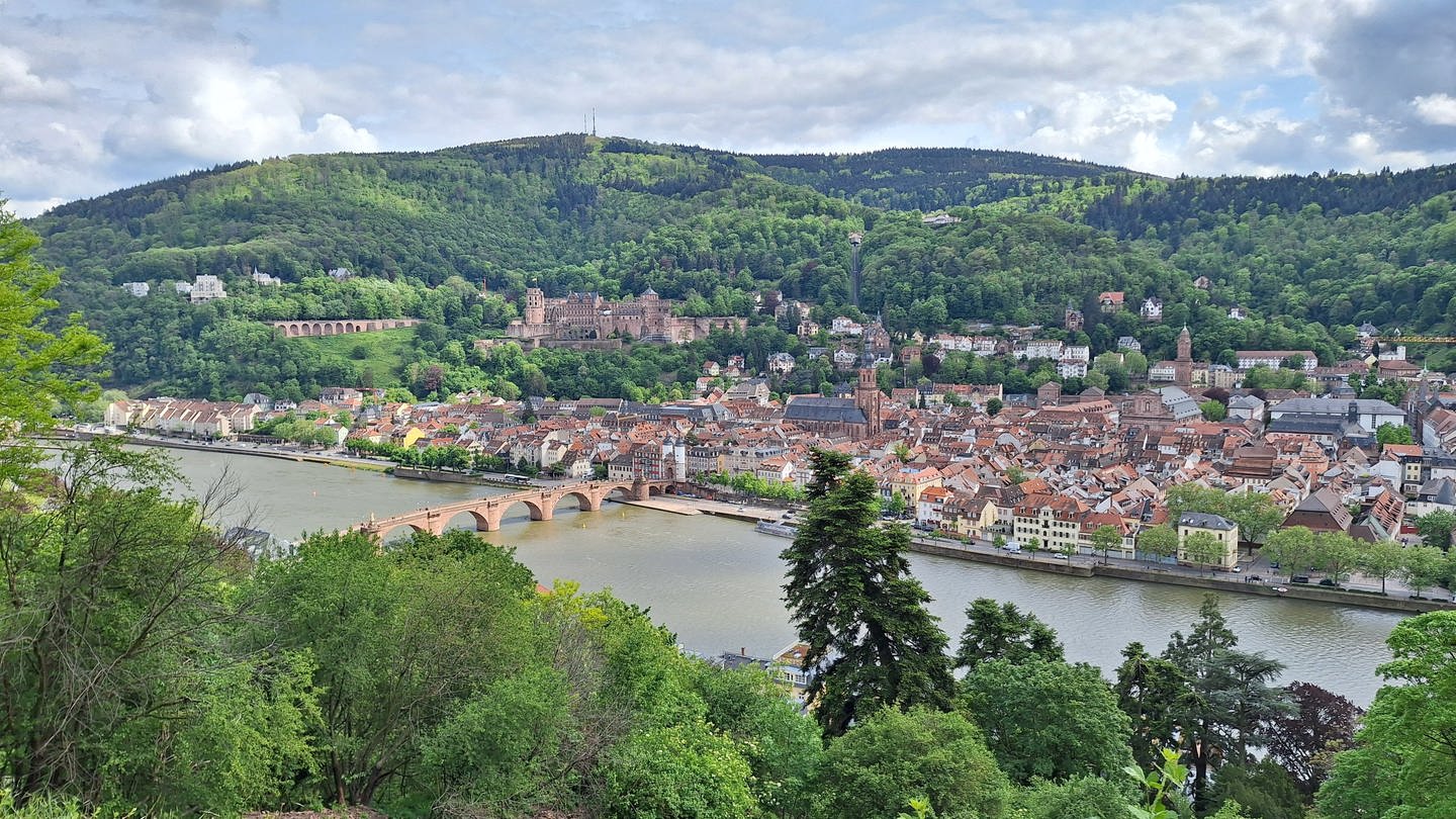 Der Blick auf die Stadt Heidelberg, auf die Brücke und das Schloss vom Philosophenweg aus fotografiert. (Foto: SWR)