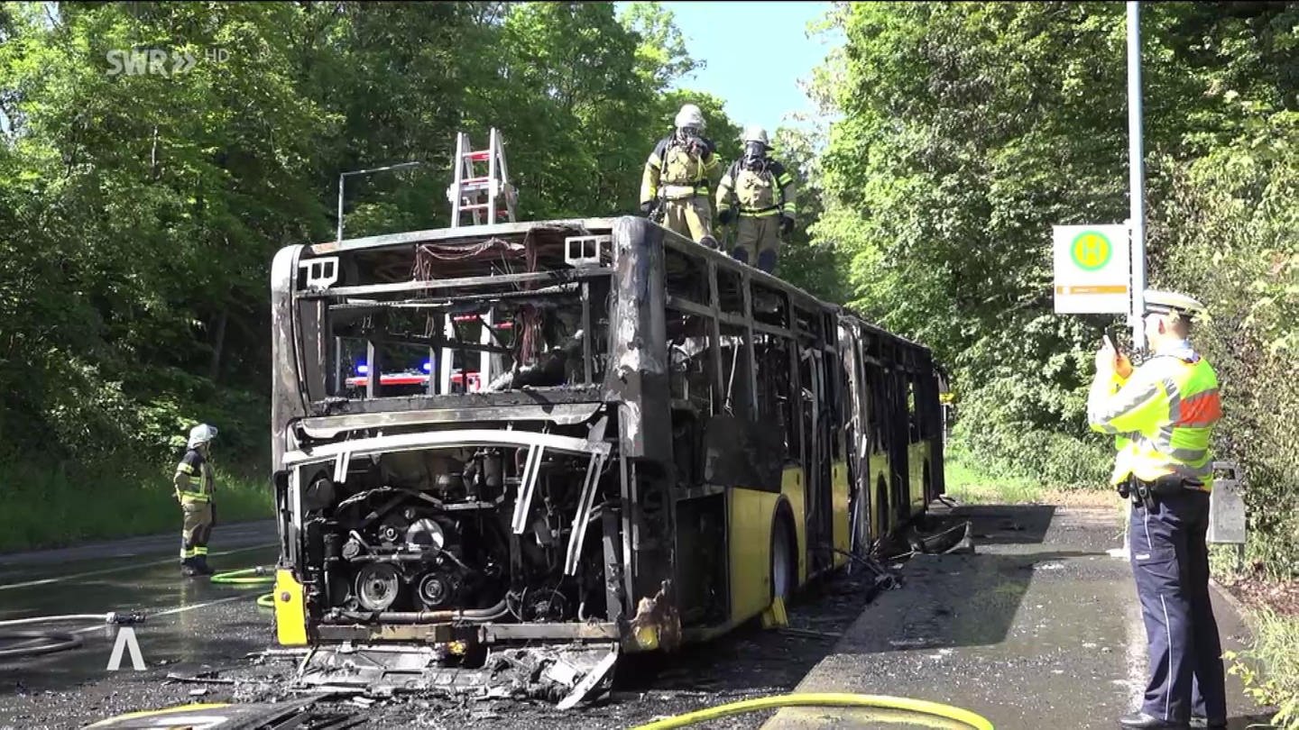 Ausgebrannter Linienbus (Foto: SWR)