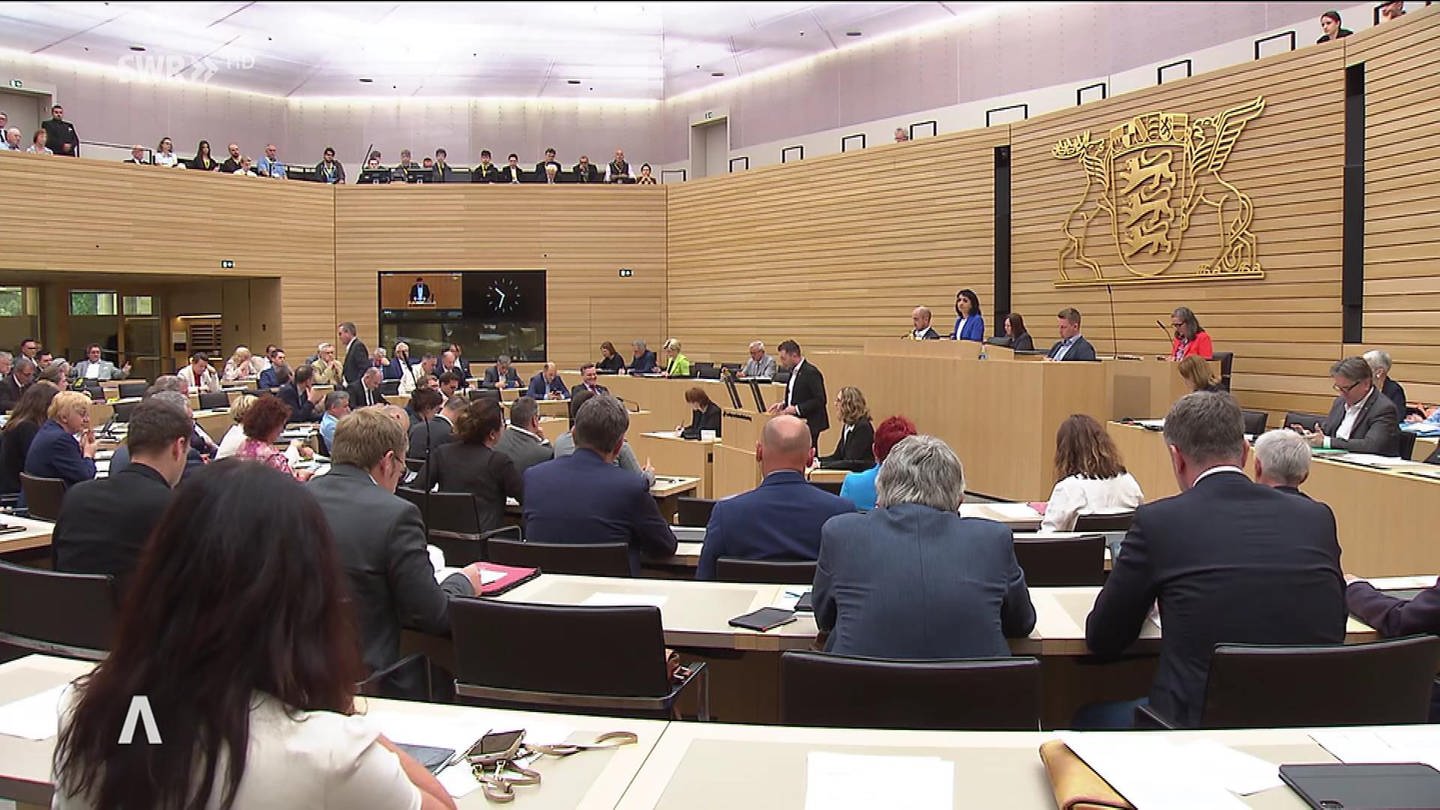Plenum Landtag Rechtsextremismus (Foto: SWR)