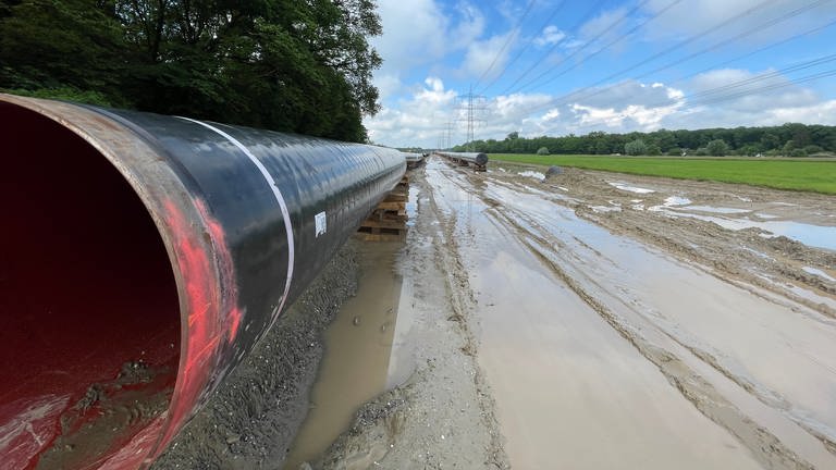 Diese Rohre bei Rheinau (Ortenaukreis) sind Teil der Erneuerung einer der wichtigsten Gaspipelines Europas - der Trans Europa Naturgas Pipeline (Tenp).