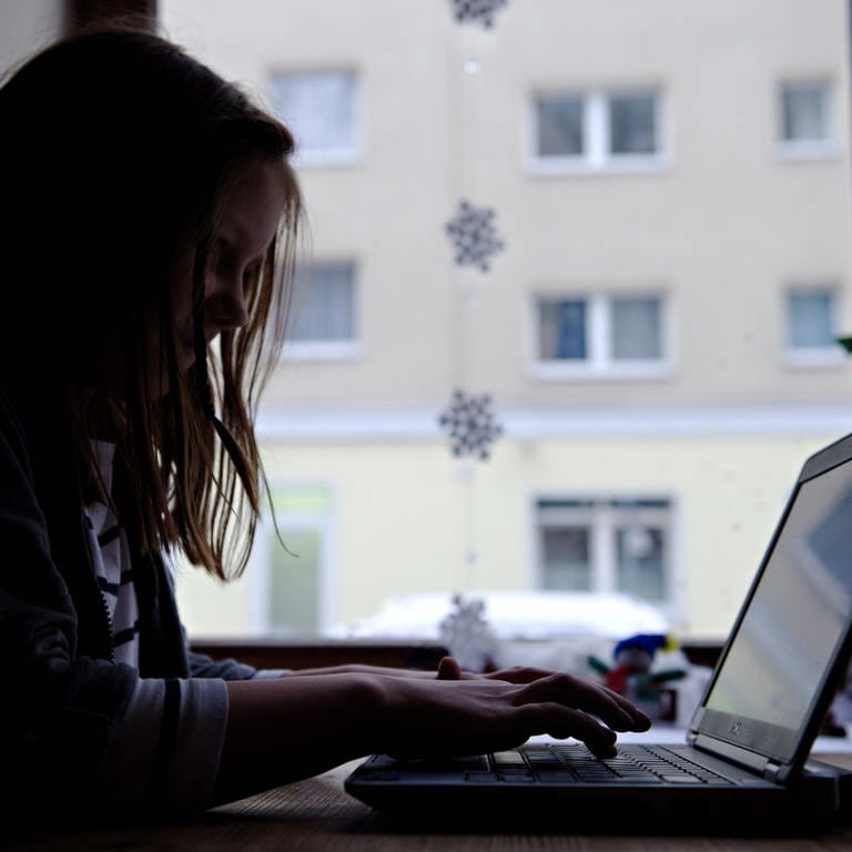 Ein junges Mädchen sitzt am 24.01.2014 in Berlin vor einem Laptop. 