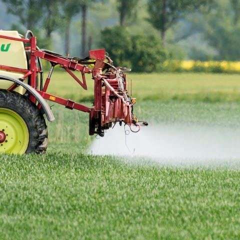 Der Landkreis Mainz-Bingen ist ungewöhnlich stark mit Pestiziden belastet - und zwar um ein vielfaches mehr als der Bundesdurchschnitt.