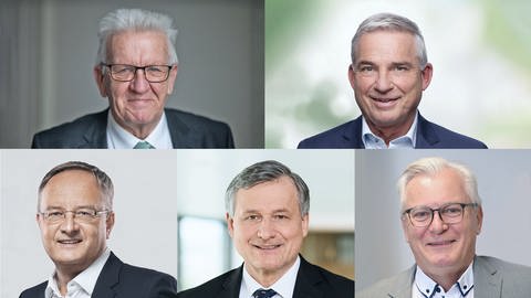 oben: Winfried Kretschmann (Grüne), Thomas Strobl (CDU), unten: Andreas Stoch (SPD), Hans-Ulrich Rülke (FDP), Bernd Gögel (AfD) (Foto: dpa Bildfunk, Pressestelle, Pressestelle, dpa)