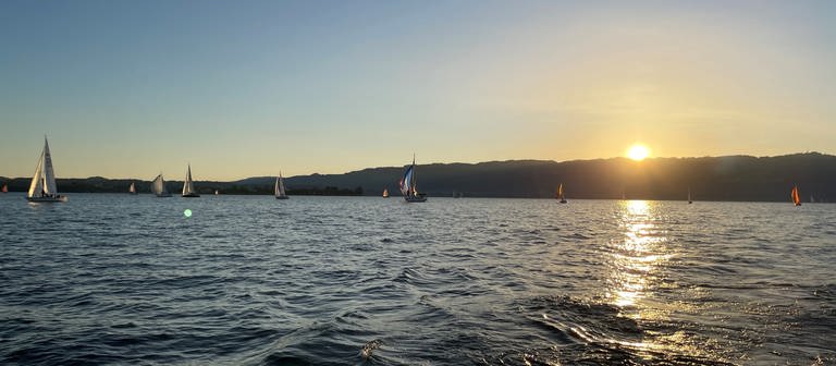Segelboote auf dem Bodensee. Im Hintergrund geht die Sonne über einem Hügel auf. (Foto: SWR, Alfred Knödler)