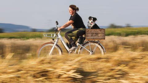 Eine Radfahrerin fährt mit ihrem Hund auf dem Gepäckträger an einem Getreidefeld vorbei (Foto: dpa Bildfunk, picture alliance/Thomas Warnack/dpa)
