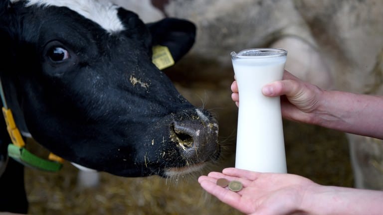 Eine Hand hält eine Karaffe Milch, auf einer zweiten Hand liegen einige Münzen, daneben blickt eine Kuh in die Kamera (Foto: SWR, Carsten Rehder)