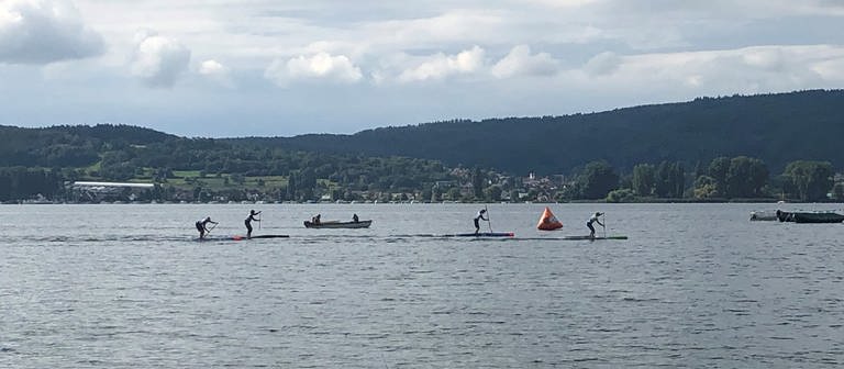 Steh-Paddler auf dem Untersee messen sich in der Sprint-Disziplin  (Foto: SWR, Bettina Ditzen)