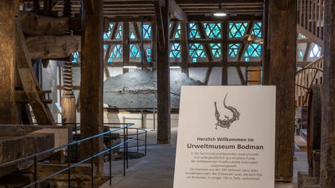 Eingangsbereich im Urweltmuseum Bodman (Foto: Pressestelle, Urweltmuseum Hauff)