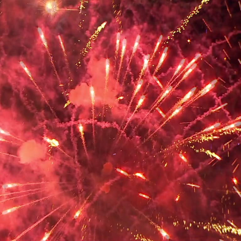 Feuerwerk beim Seenachtfest (Foto: SWR)