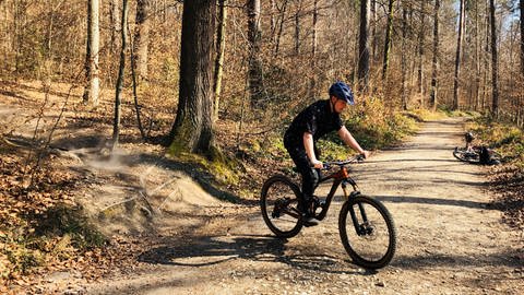 Mountainbiker fährt auf Waldweg