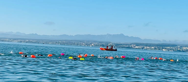 Im Wasser sind viele Schwimmer zu sehen, die bunte Bojen hinter sich her ziehen. (Foto: Pressestelle, Bodensee Openwater e.V.)