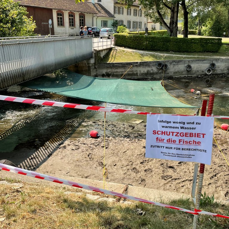 Im Thurgau wurden für Fische Kaltwasserzonen eingerichtet (Foto: SWR, Esther Leuffen)