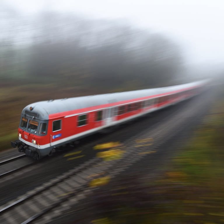 Zug fährt auf Gleisen bei Aulendorf (Foto: dpa Bildfunk, picture alliance / dpa | Felix Kästle)
