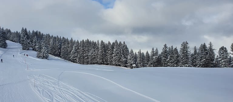 Schneebild Vorarlberg (Foto: SWR, Friederike Fiehler)