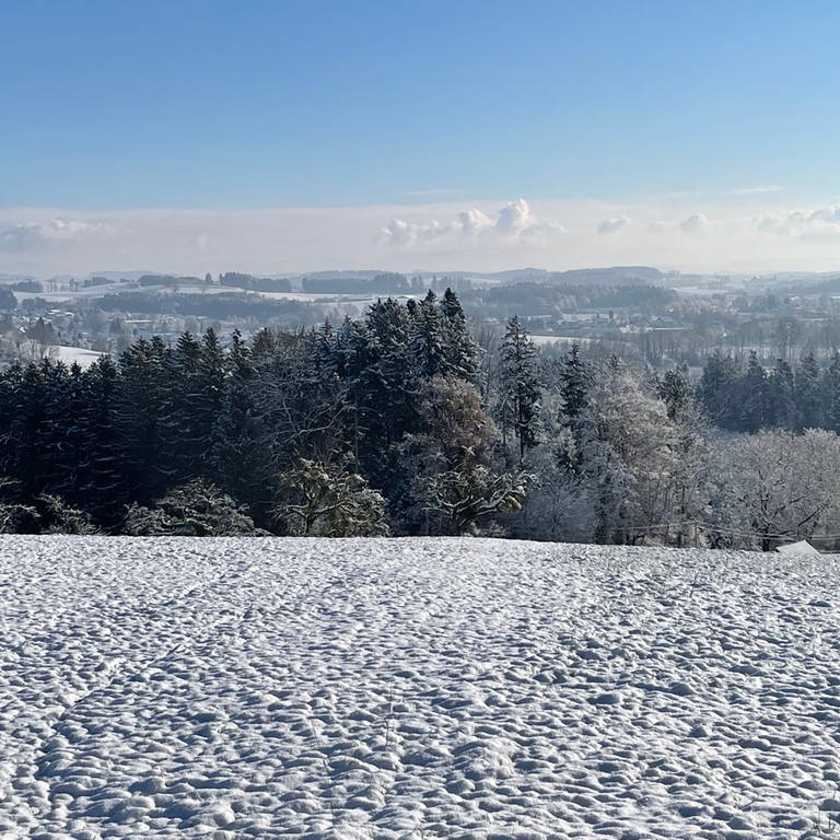 Schnee liegt im Allgäu auf der Wiese und auf Bäumen im Dezember 2022 (Foto: SWR, Wolfgang Wanner)