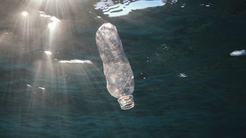 Plastikflasche im Meer (Foto: dpa Bildfunk, ZUMA Press Wire Andrey Nekrasov)