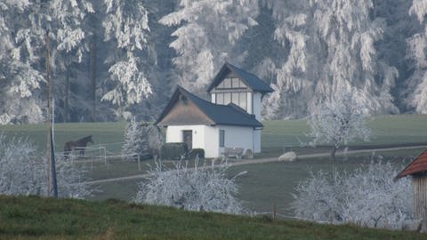 Die Kapelle "Maria auf dem Berge" in Kleinwinnaden (Foto: Pressestelle, TI Bad Schussenried)