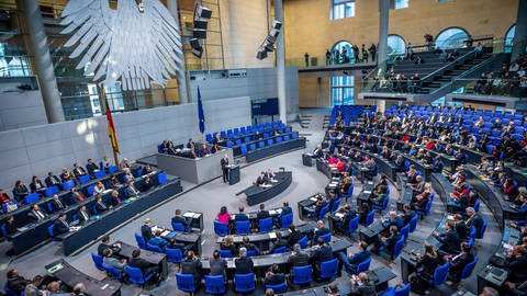 Bundestag (Foto: SWR, Michael Kappeler)