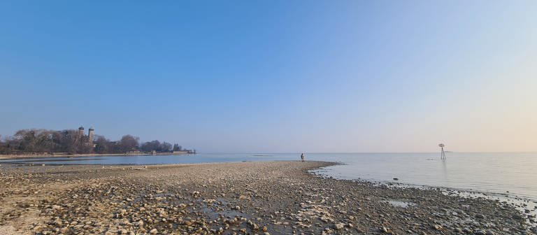 Vor Friedrichshafen ist der Bodenseepegel niedrig, ein großes Stück Ufer ist zu sehen (Foto: SWR, Marlene Fuchs)