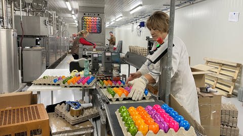 Eier rollen über das Fließband in der Eierfärberei Zembrot (Foto: SWR, Marlene Fuchs)