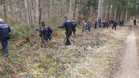 Polizistinnen und Polizisten durchkämmen einen Wald bei Heudorf. (Foto: SWR, Friederike Fiehler)