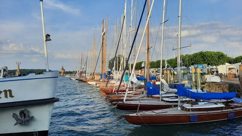 Segelboote vor Konstanz im Hafen, Bodenseewoche 2023 (Foto: SWR, Stefanie Baumann)