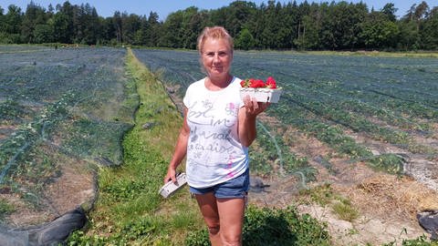 Eine Frau steht auf einem Feld und hält eine Erdbeerschale in der linken Hand. (Foto: SWR, Anne-Katrin Kienzle)