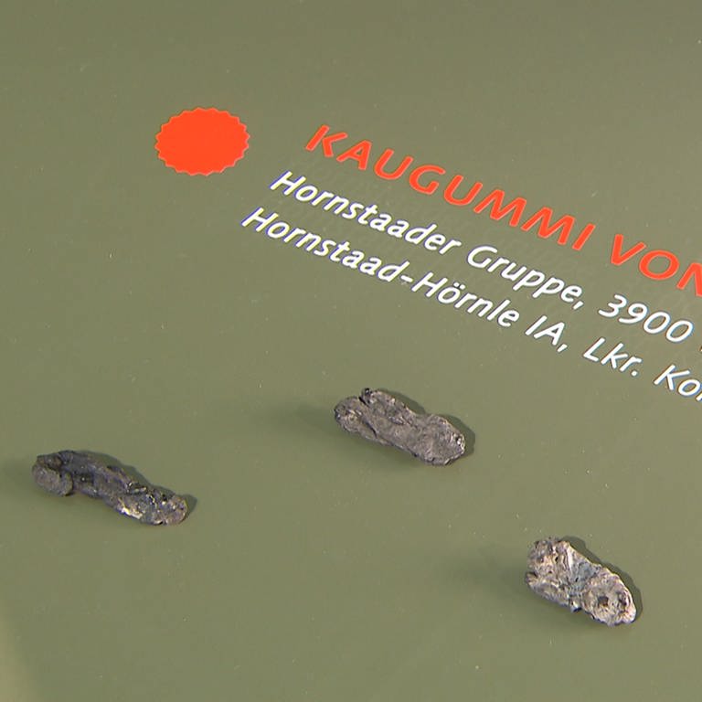 Steinzeit-Kaugummis vom Bodensee (Foto: SWR, Paul Grom)