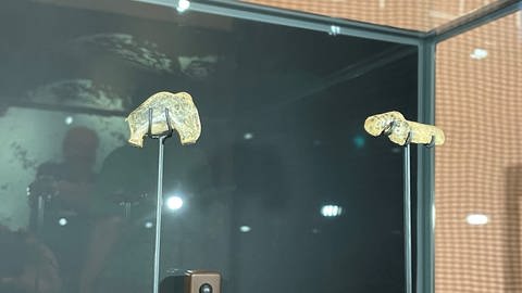 Steinzeitfiguren im Archäologischen Landesmuseum (Foto: SWR, Marlene Fuchs)