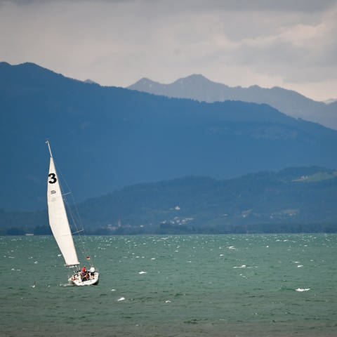 Symbolfoto: Ein Boot segelt bei Sturmwarnung vor Langenargen über die Wellen des Bodensees.  (Foto: dpa Bildfunk, Symbolfoto: picture alliance/dpa | Felix Kästle)