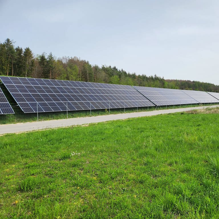 Die größte Photovoltaikanlage an der B33 bei Allensbach. (Foto: Pressestelle, Gemeinde Allensbach)