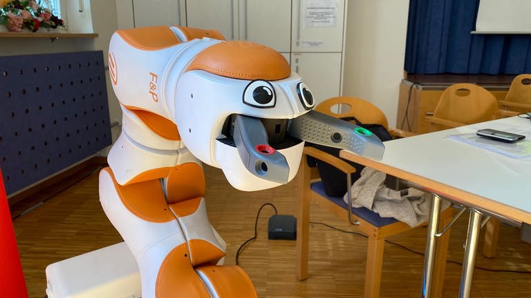 Fast zwei Jahre lang war der Assistenz-Roboter LIO in Altenheimen in Konstanz und Schaffhausen im Einsatz.  (Foto: SWR, Theresia Blömer)