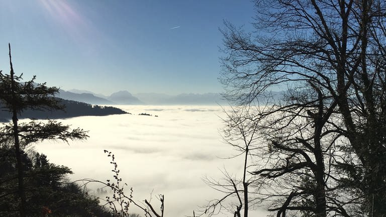 Der Bodensee unter Nebel (Foto: SWR, Stephan Frank)
