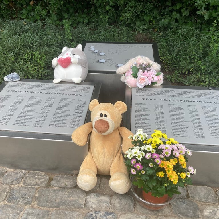 Kuscheltiere liegen bei Gedenkstätte an den Flugzeugabsturz nahe Überlingen. (Foto: SWR, Thomas Wagner)