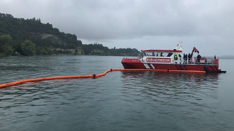 Im Überlinger See soll ein Motorschiff geborgen werden, das in der vergangenen Woche gesunken war.  (Foto: SWR, Sabine Steinfurth)