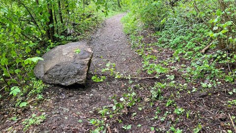 Ende April war dieser Fels auf einen Wanderweg am Hohentwiel gestürzt. (Foto: Pressestelle, Stadt Singen)