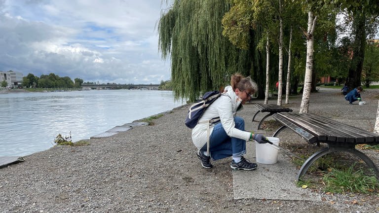 eine Frau sammel in der Hocke Müll am Konstanzer Seerhein in einen Plastikeimer (Foto: SWR, Esther Leuffen)