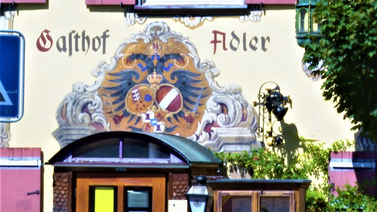 Adler Großholzleute (Foto: SWR)