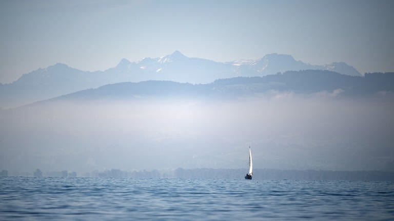 Ein Boot segelt auf dem Bodensee vor Alpenpanorama (Foto: picture-alliance / Reportdienste, picture alliance/dpa | Marijan Murat (Symbolbild))