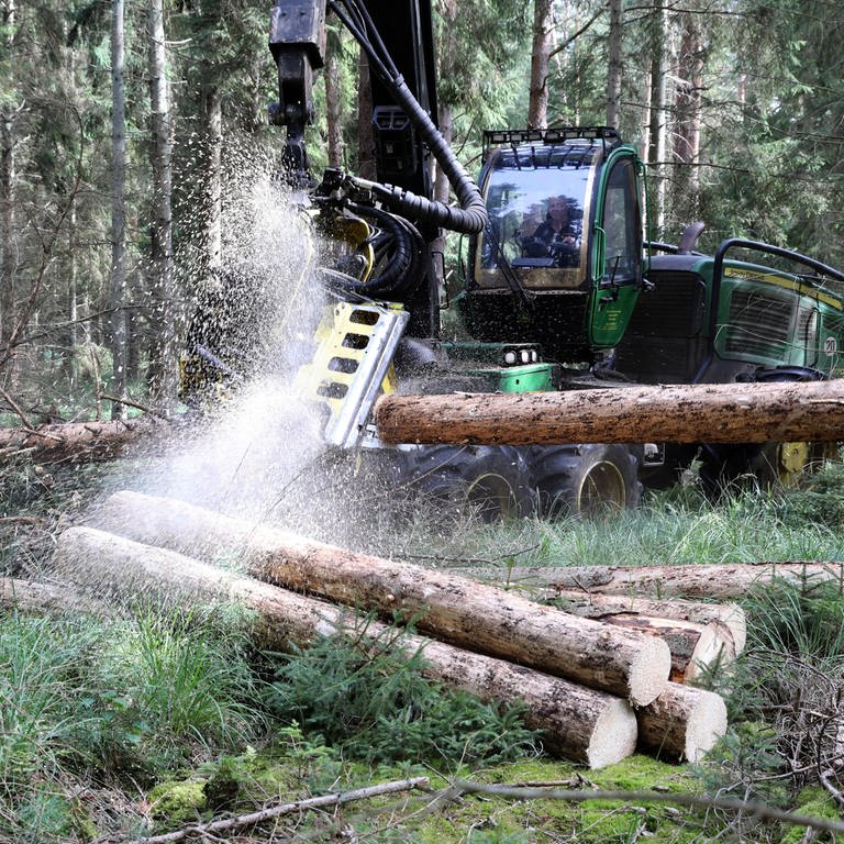 Ein sogenannter Harvester zersägt Baumstämme im Wald. (Symbolbild) (Foto: dpa Bildfunk, picture alliance/dpa/Bernd Wüstneck (Symbolbild))